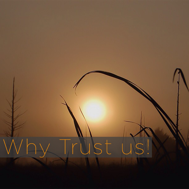 Buy The Finest Quality Wire From Western Steel & Wire, Experts in Wire